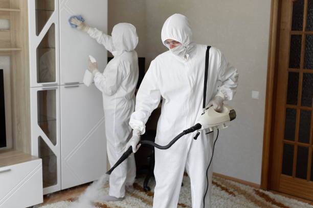 Best Mold Damage Repair  in Parsons, KS