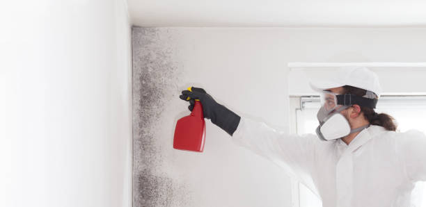 Best Residential Mold Removal  in Parsons, KS