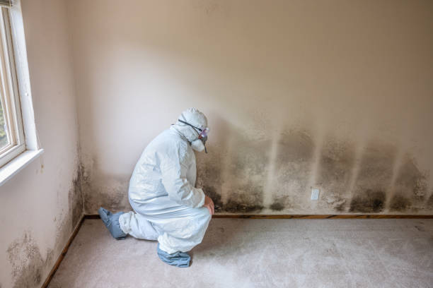 Best Mold Testing  in Parsons, KS