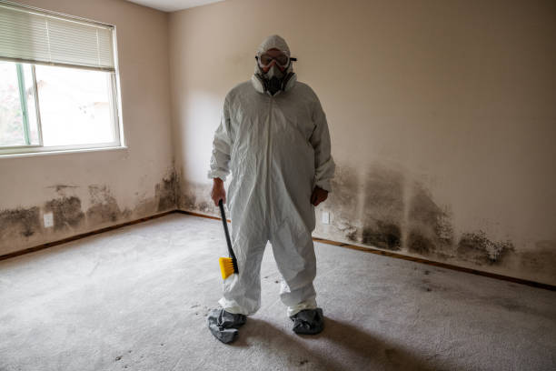 Best Mold Cleaning Services  in Parsons, KS