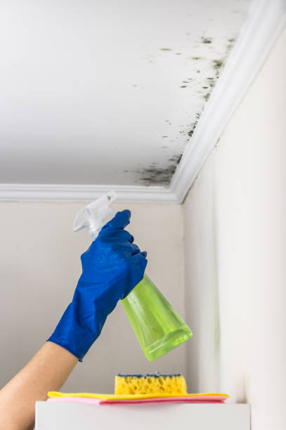 Best Water Damage Restoration  in Parsons, KS